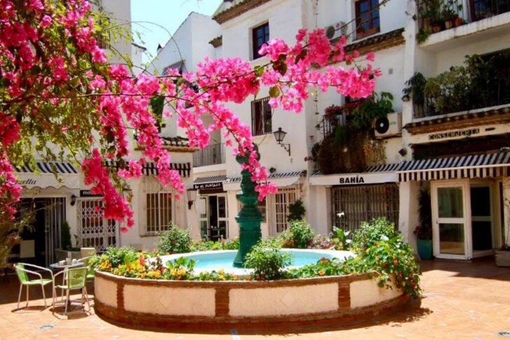 Begonia Studio 119 Torremolinos Luaran gambar
