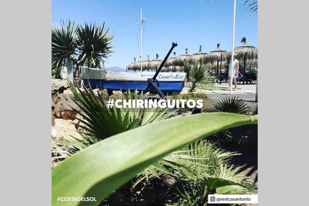Begonia Studio 119 Torremolinos Luaran gambar